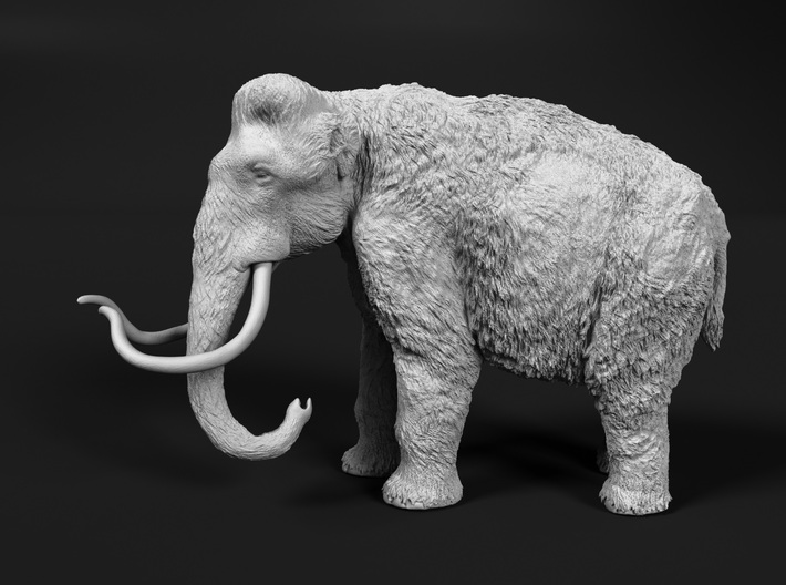 Woolly Mammoth 1:87 Standing Female (mirrored) 3d printed
