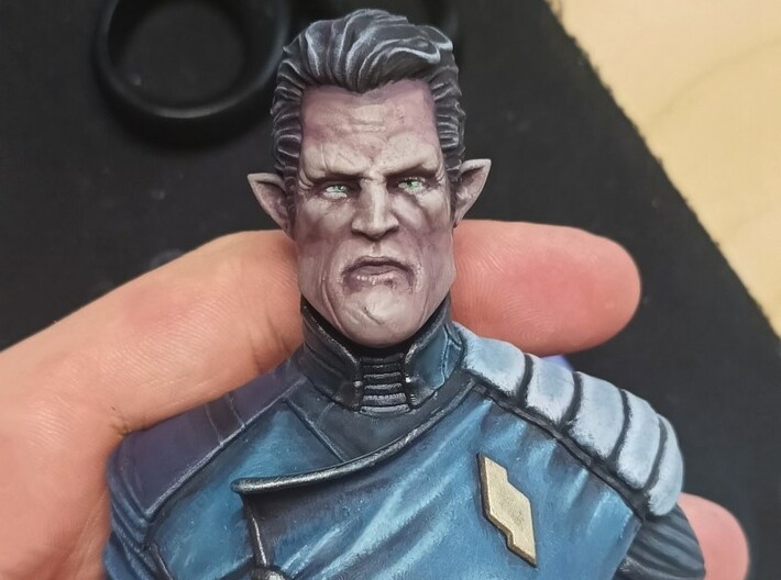 1/9 scale scifi Space Force Command Admiral bust 3d printed 