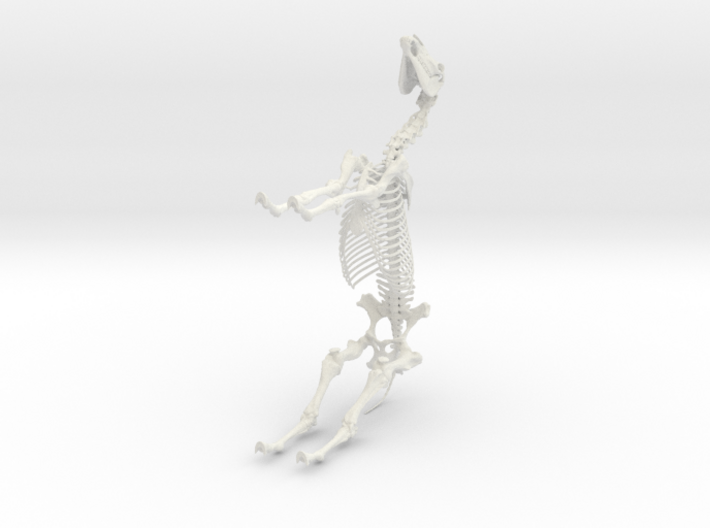 Horse Skeleton Sculpture 1:9 3d printed