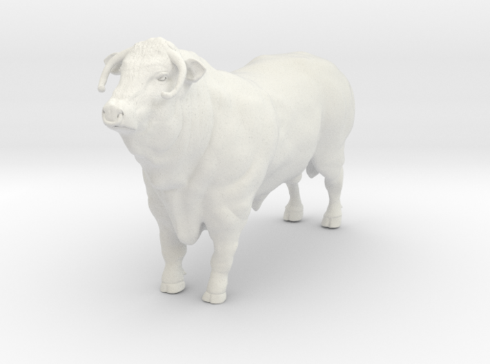 1/64 show hereford bull with nose ring 3d printed
