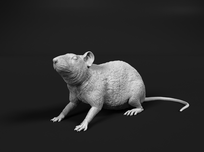 Brown Rat 1:24 Sitting on four legs (DZC93CKWM) by miniNature