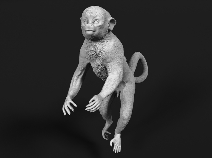 Squirrel Monkey 1:9 Male in tree 3 3d printed 