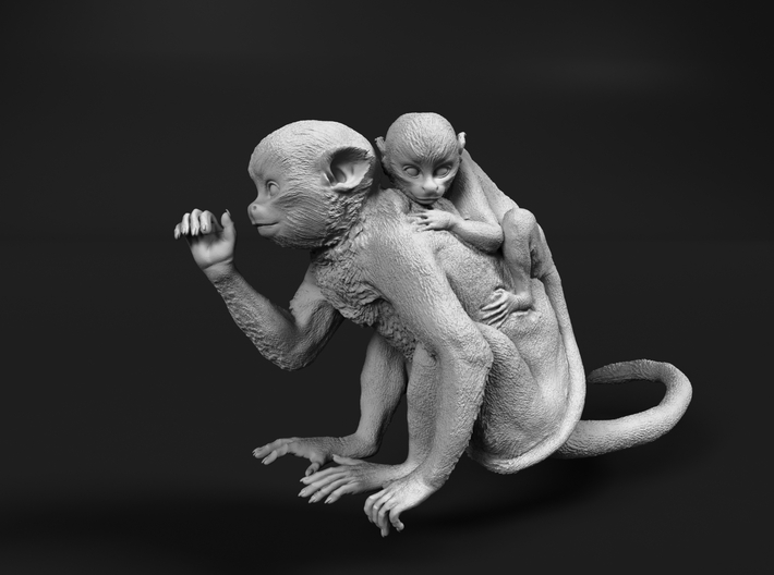 Squirrel Monkey 1:9 Female with baby 1 3d printed