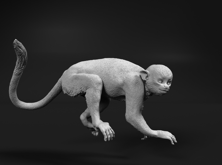Squirrel Monkey 1:25 Male in tree 2 3d printed