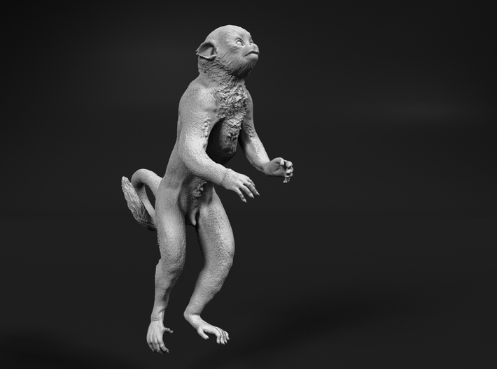 Squirrel Monkey 1:24 Male in tree 3 3d printed