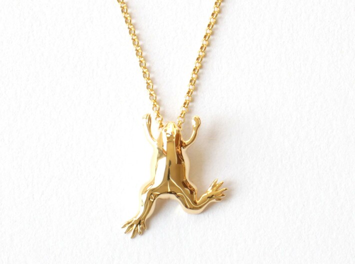 Xenopus Frog Pendant - Science Jewelry 3d printed Xenopus Frog Pendant in 14K gold plated brass