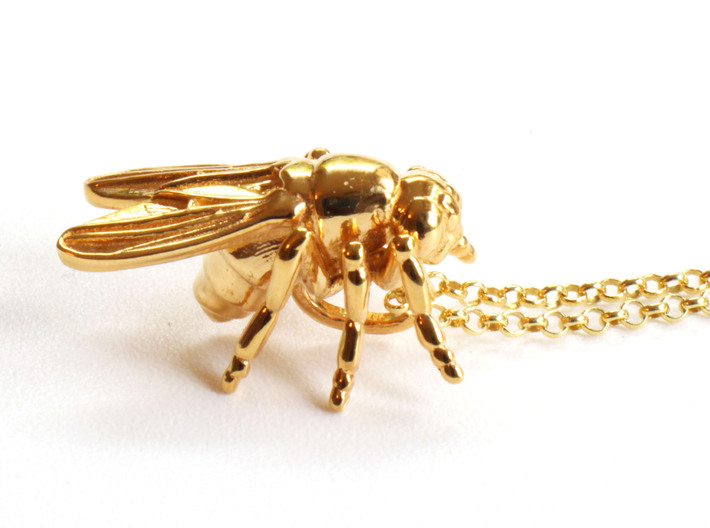 Drosophila Fruit Fly Pendant - Science Jewelry 3d printed Drosophila pendant in 14K gold plated brass
