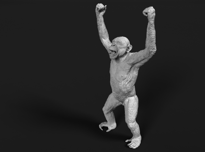Chimpanzee 1:20 Male with raised arms 3d printed 