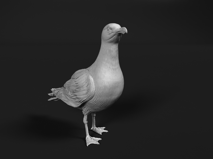 Glaucous Gull 1:48 Standing 1 3d printed 