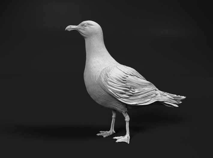 Glaucous Gull 1:35 Standing 1 3d printed