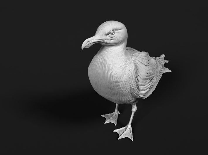 Glaucous Gull 1:24 Standing 2 3d printed 