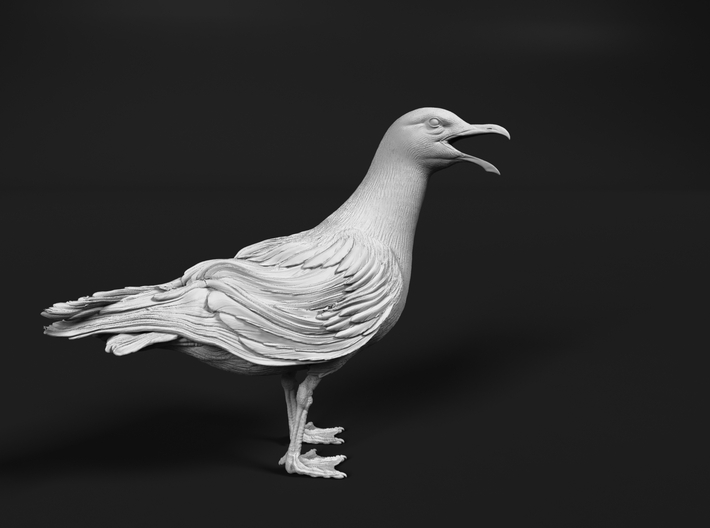 Herring Gull 1:45 Open beak 3d printed 