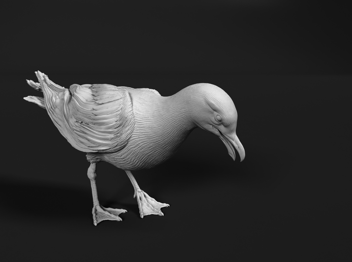 Herring Gull 1:12 Looking down 2 3d printed