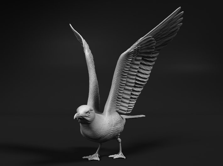 Herring Gull 1:6 Ready for take off 3d printed 