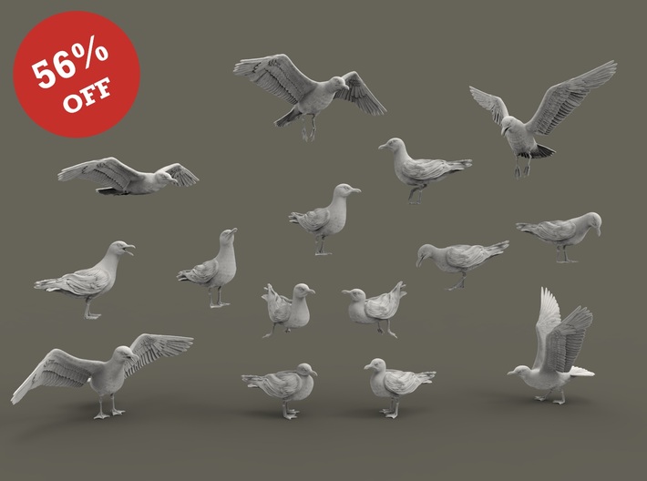 Herring Gull set 1:45 Fifteen different pieces 3d printed