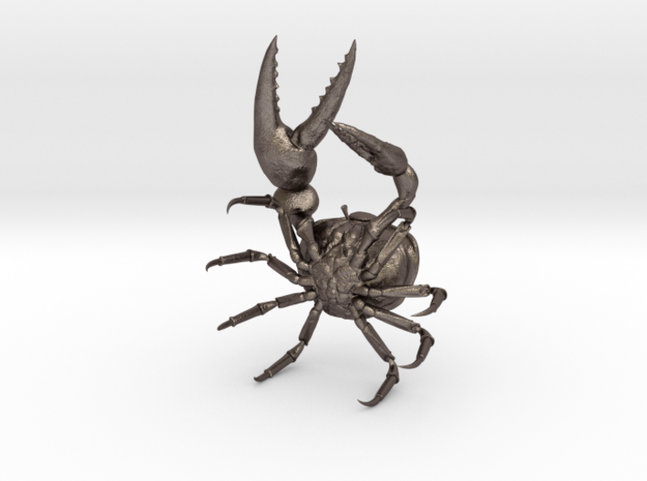 Fiddler Crab - Small 3d printed