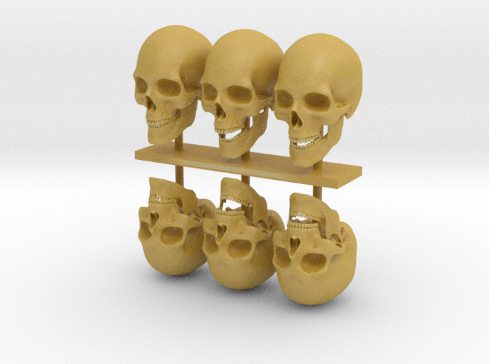 skull 1:8 26 mm 3d printed