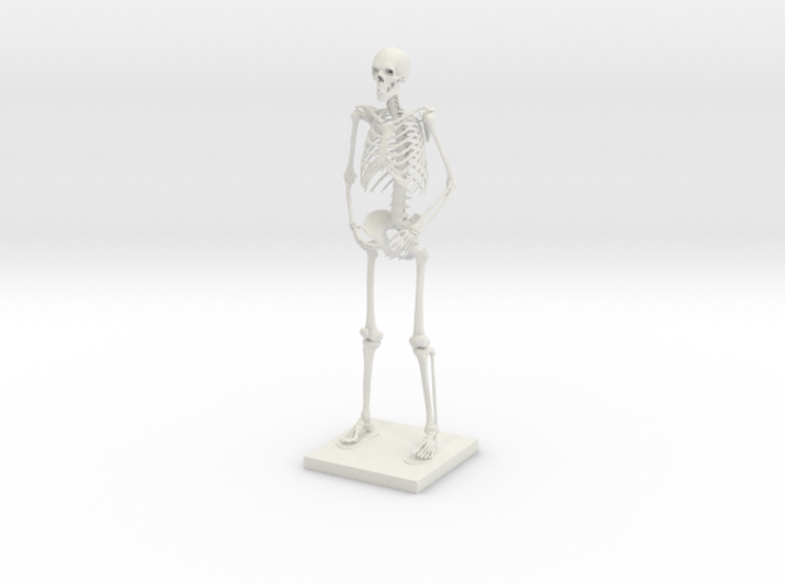 10&quot; Desktop Skeleton 3d printed
