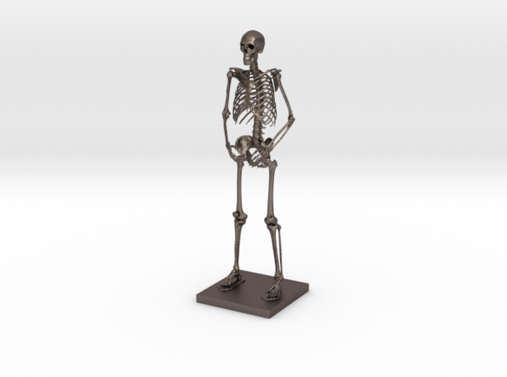 6&quot; Desktop Skeleton 3d printed