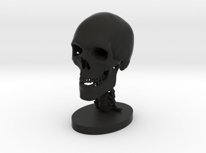 1/2 Scale Human Skull 3d printed