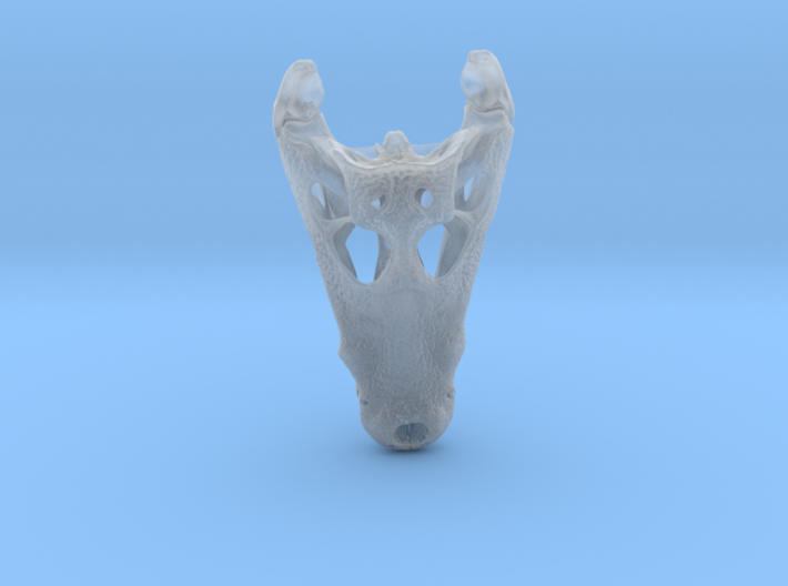 Jacaré Alligator skull - 64 mm 3d printed