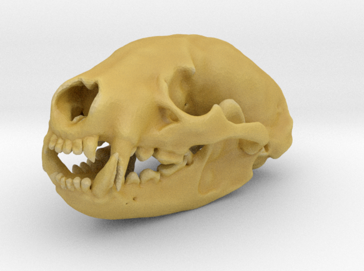 BADGER Skull Pendant 3d printed