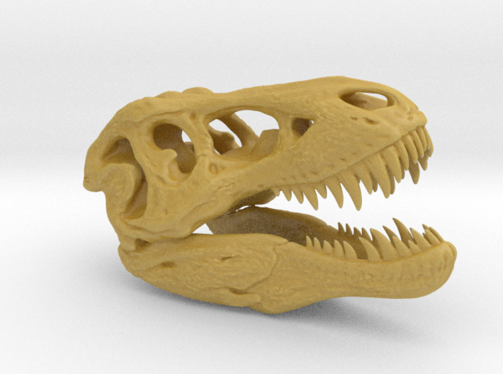 Tyrannosaurus Rex pendant 50mm 3d printed 