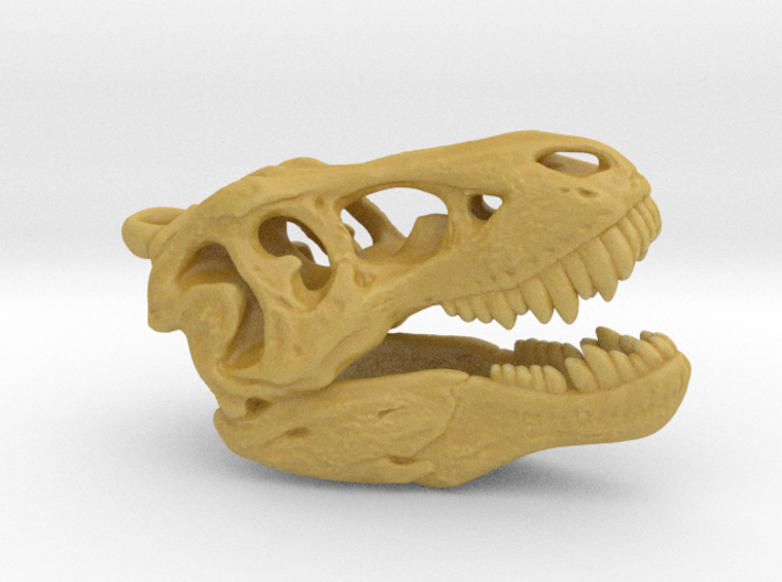 Tyrannosaurus rex pendant 25mm with loop 3d printed