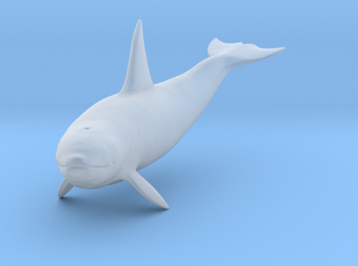 Killer Whale 3d printed