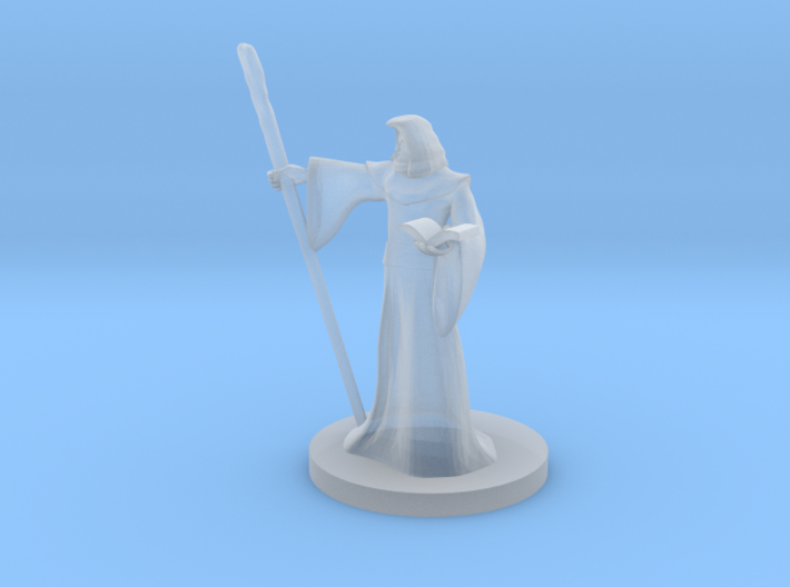 Human Wizard with Staff 3d printed