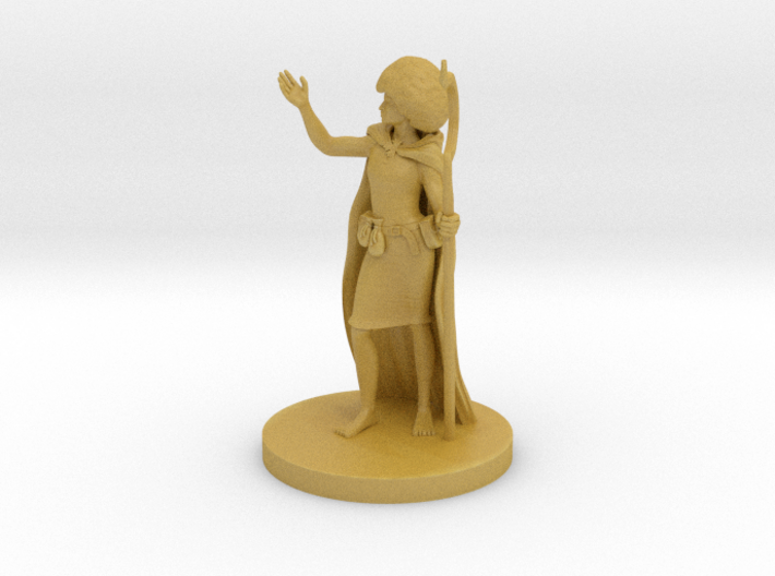 Human Female Druid 1 with Afro 3d printed 