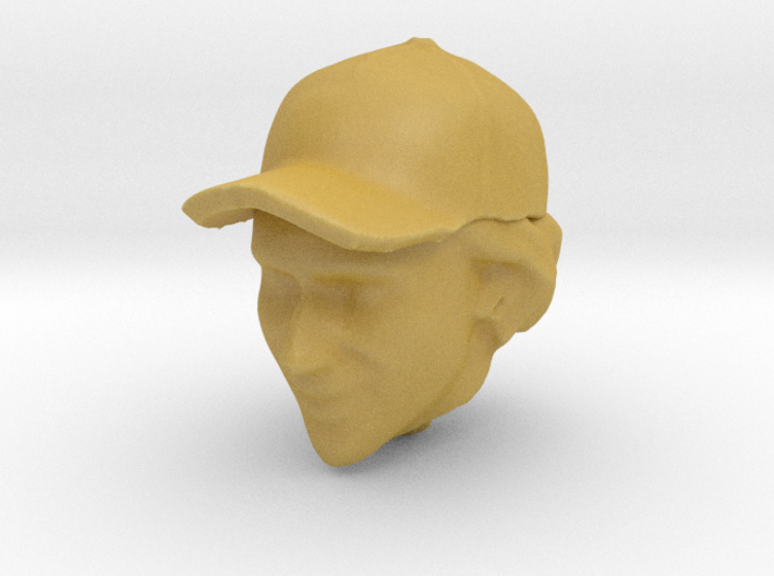 1/20 Senna Head in Cap 3d printed