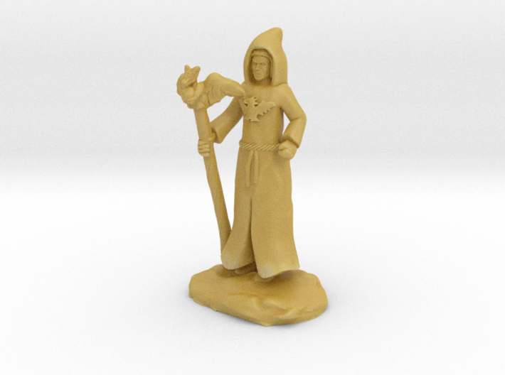 Dracandros, dragon cultist with Staff 3d printed