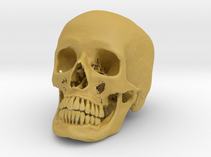 Jack-o'-lantern skull from CT scan, half size 3d printed