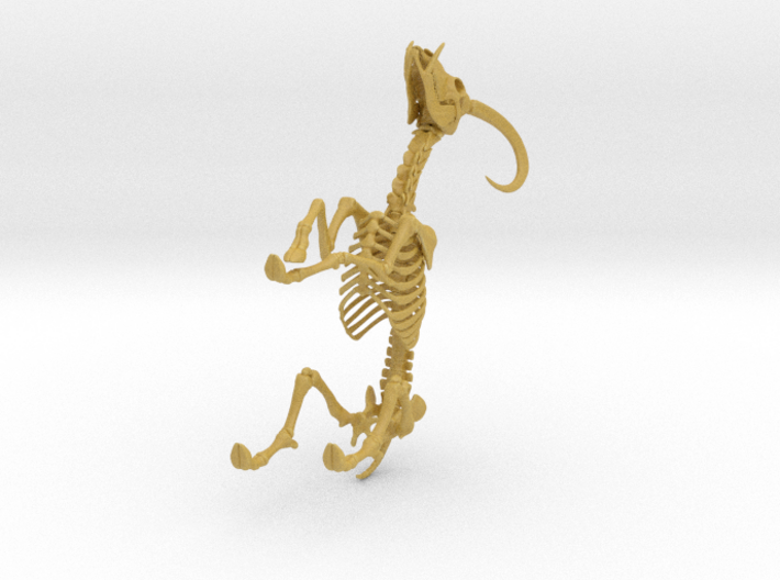 Yale Skeleton 3d printed