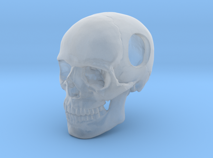 18mm .7in Bead Human Skull Crane Schädel че́реп 3d printed