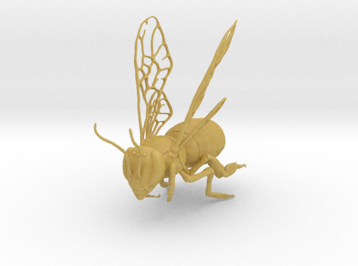 Honey Bee (Small) 3d printed