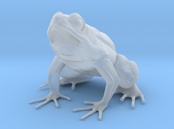 Large Frog Print 3d printed