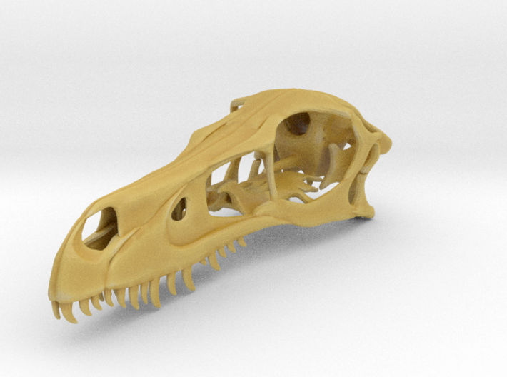 1:1 Velociraptor mongoliensis Skull 3d printed