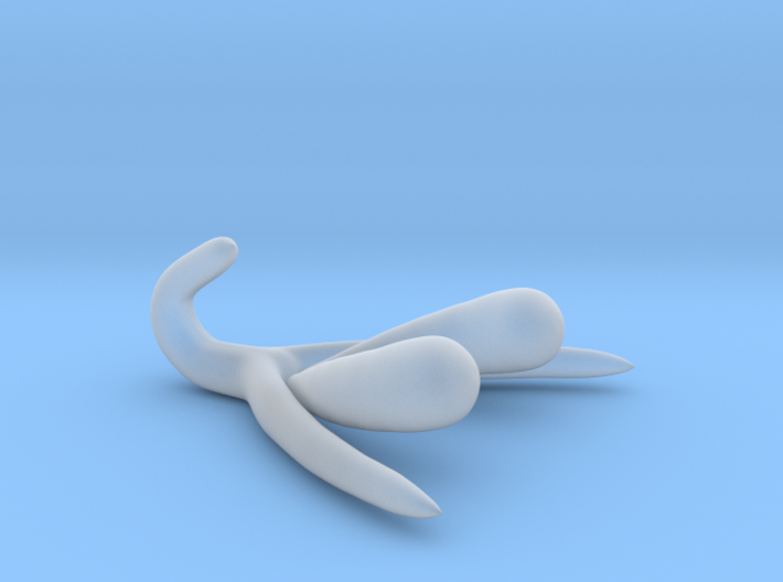 Life-scale Clitoris and Bulbs 3d printed