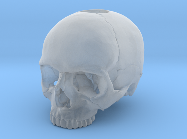 30mm 1.18in Keychain Skull (8mm/0.31in hole) 3d printed