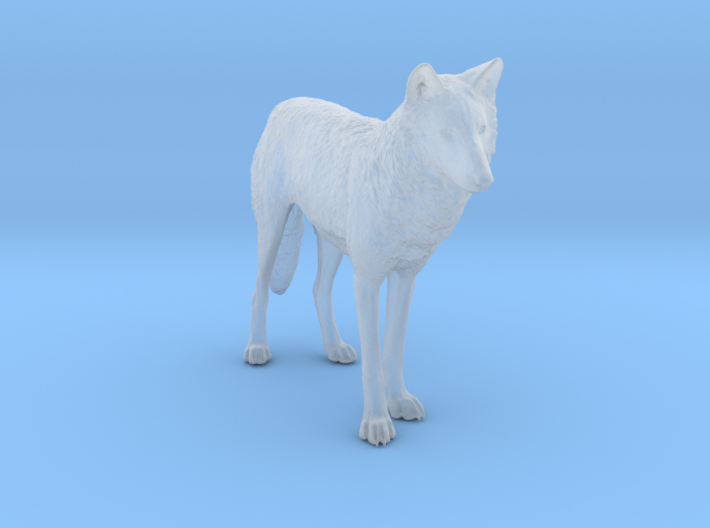 North American Gray Wolf 3d printed