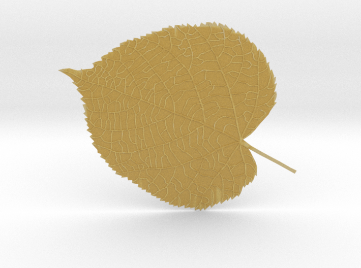 Tilia tree leaf (linden leaf) 3d printed 