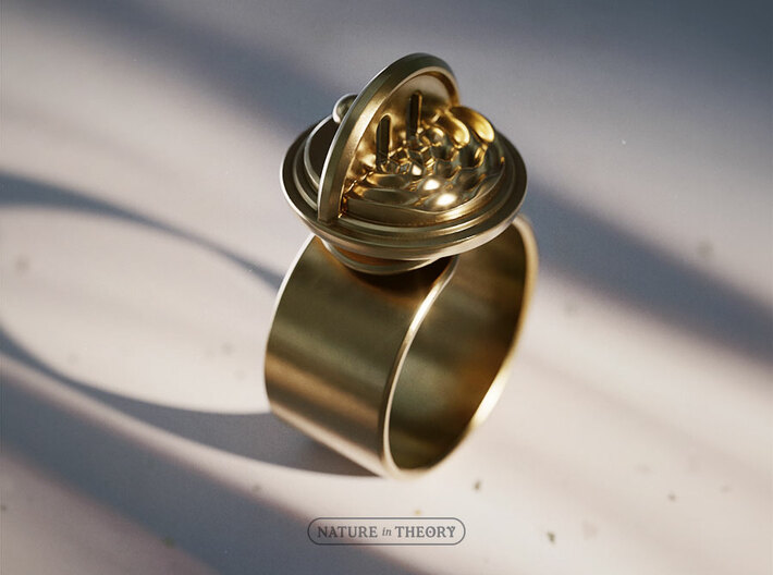 Wave-Particle Duality ✦ Signet Ring ✦ Size 5-6 3d printed