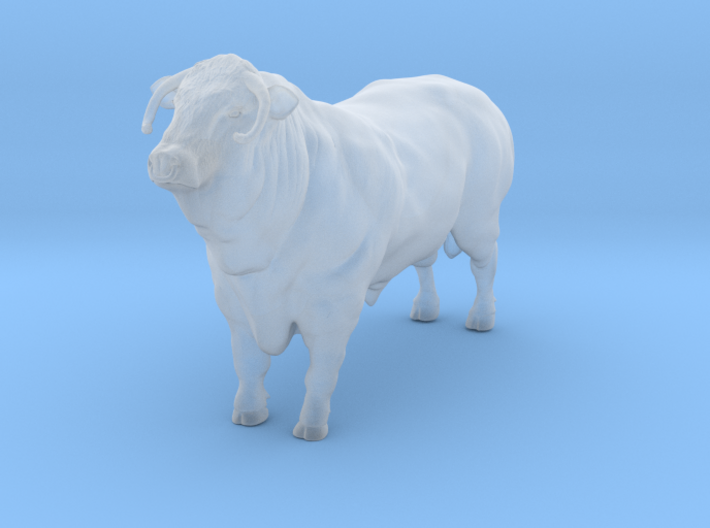 1/64 show hereford bull with nose ring 3d printed