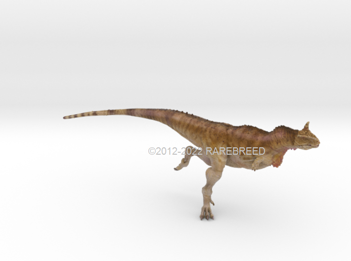 Carnotaurus 3d printed Carnotaurus by ©2012-2022 RareBreed