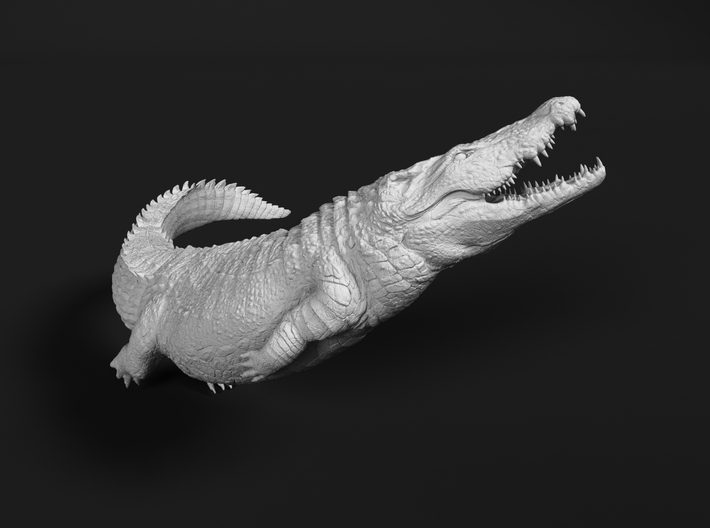 Nile Crocodile 1:48 Attacking in Water 2 3d printed 