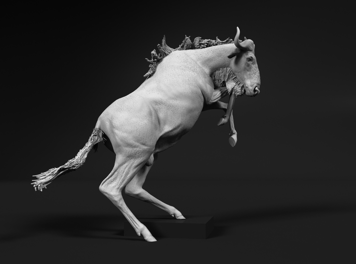 Blue Wildebeest 1:64 Startled Male 3d printed 