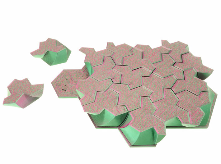 Einstein Tiling Puzzle 3d printed