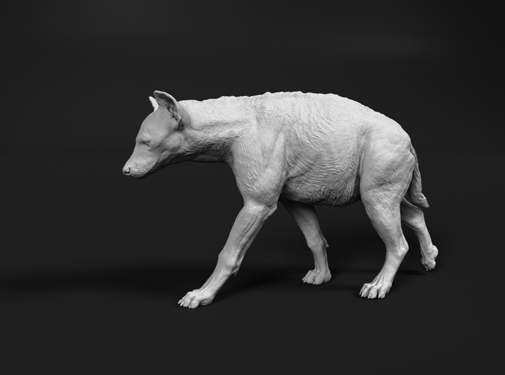 Spotted Hyena 1:45 Walking Female 1 3d printed 